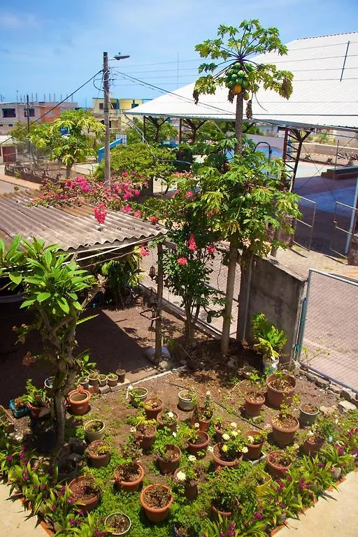 Guest house Hostal Nathaly Puerto Baquerizo Moreno